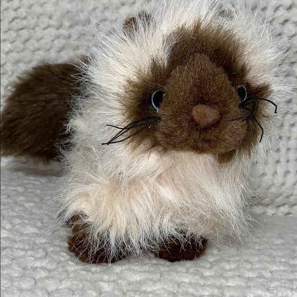 webkinz himalayan cat